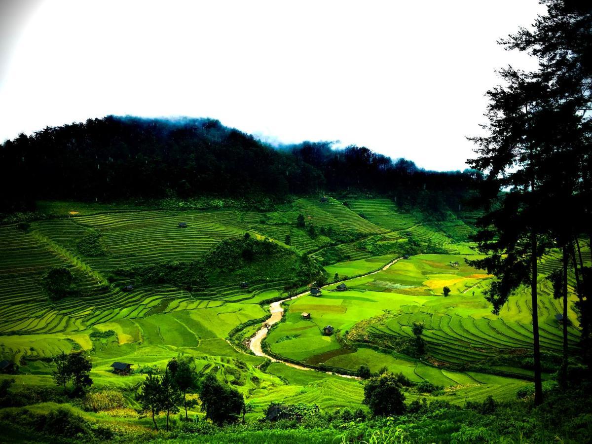 Do Gu Homestay Mu Cang Chai エクステリア 写真
