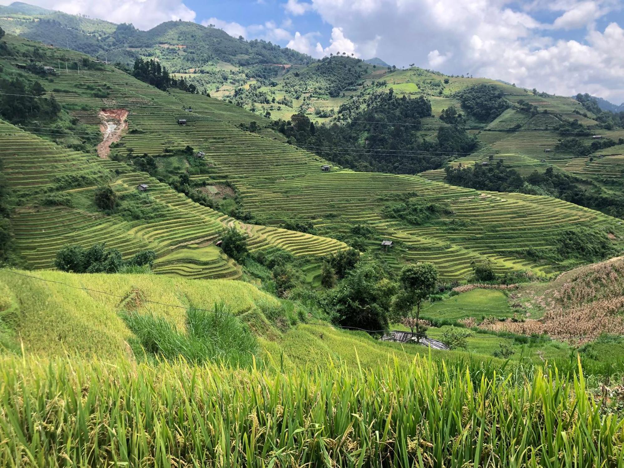 Do Gu Homestay Mu Cang Chai エクステリア 写真