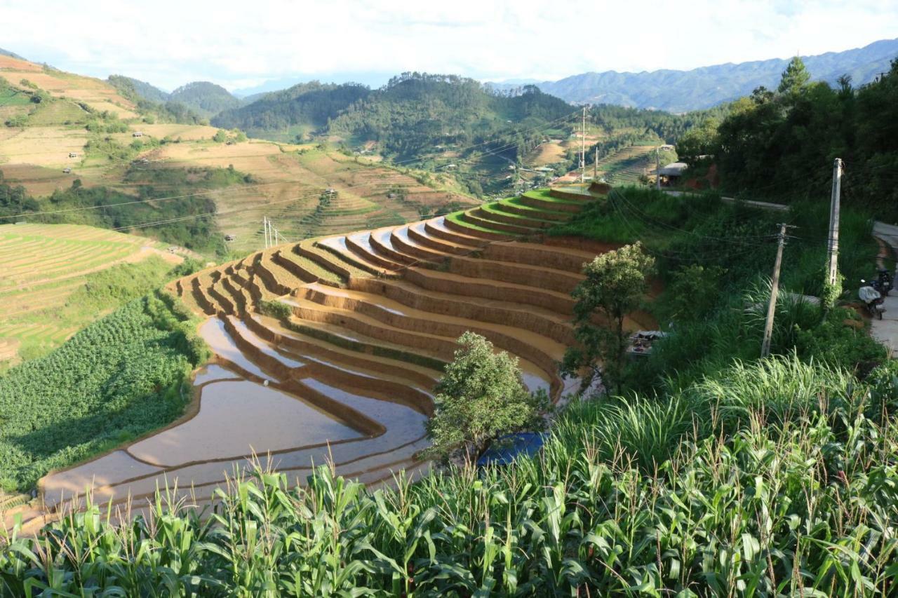 Do Gu Homestay Mu Cang Chai エクステリア 写真