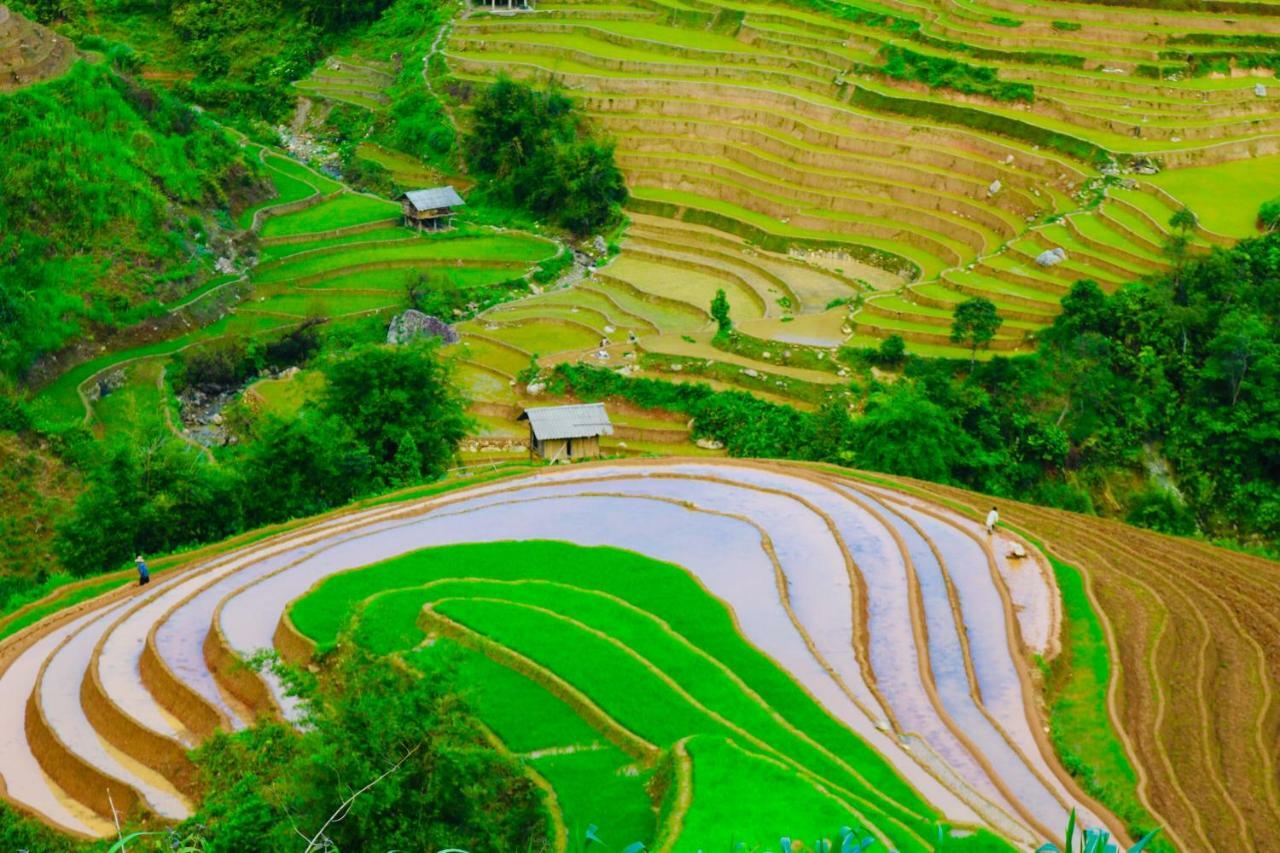 Do Gu Homestay Mu Cang Chai エクステリア 写真
