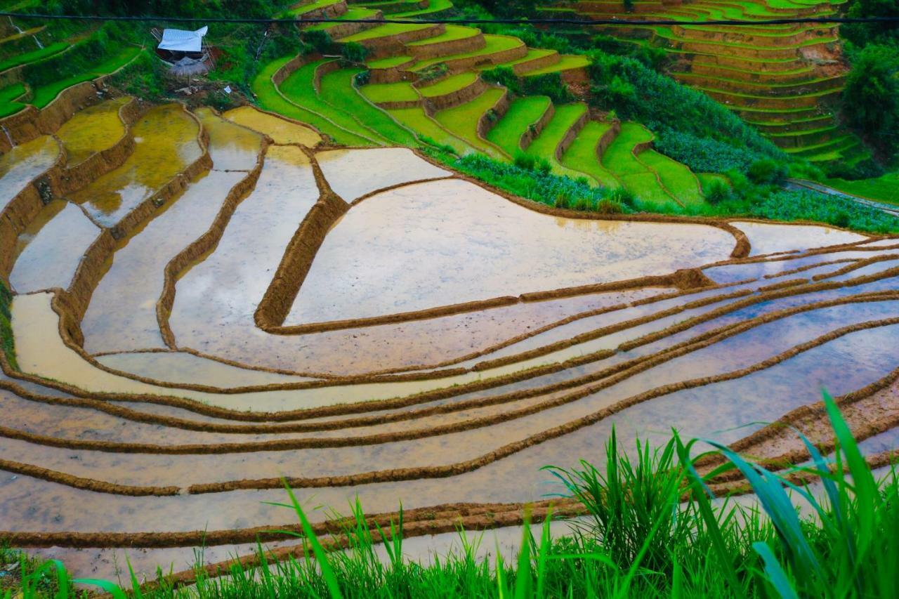 Do Gu Homestay Mu Cang Chai エクステリア 写真